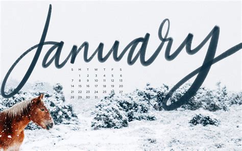 January 2023 Zoom Backgrounds Imagesee - IMAGESEE