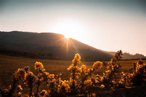 Sun Rising Behind the Mountain · Free Stock Photo