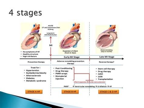 PPT - Case Study Congestive Heart Failure PowerPoint Presentation, free download - ID:2837058