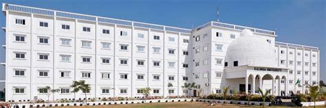 Kalinga University Raipur Results 2024 at kalingauniversity.ac.in