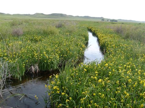 Niobrara National Scenic River | Find Your Park