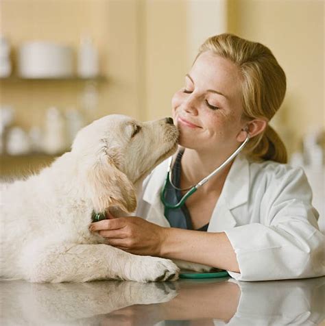 Methocarbamol for Dogs: Benefits, Dosage, Side Effects, and More ...