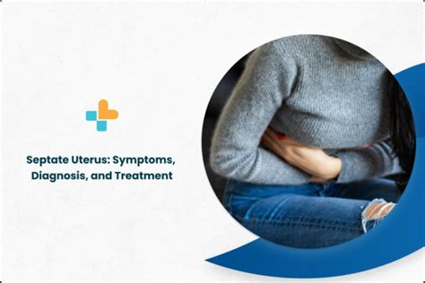 Septate Uterus: Symptoms, Diagnosis, And Treatment