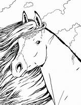 Horse Printable Coloring Sheets sketch template