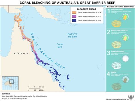 How and Where Coral Bleaching Is Affecting the Great Barrier Reef ...