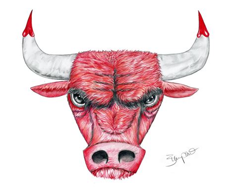 Chicago Bull Logo Pencil Drawing 11x14 - Etsy Israel