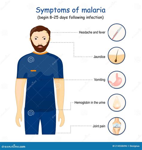 Malaria Symptoms Vector Illustration | CartoonDealer.com #65770814