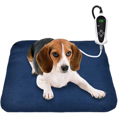 9 Best Heated Dog Beds for Winter | The Family Handyman