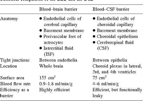 Anatomy Of Blood Brain Barrier - Anatomy Book