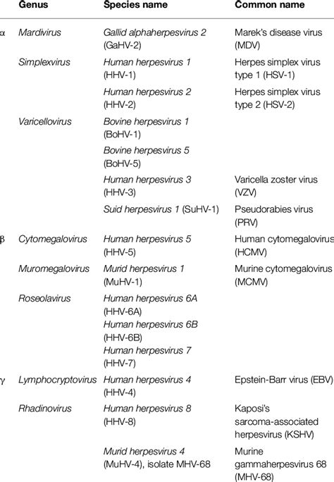 Taxonomic classifications of select members of the Herpesviridae family. | Download Scientific ...