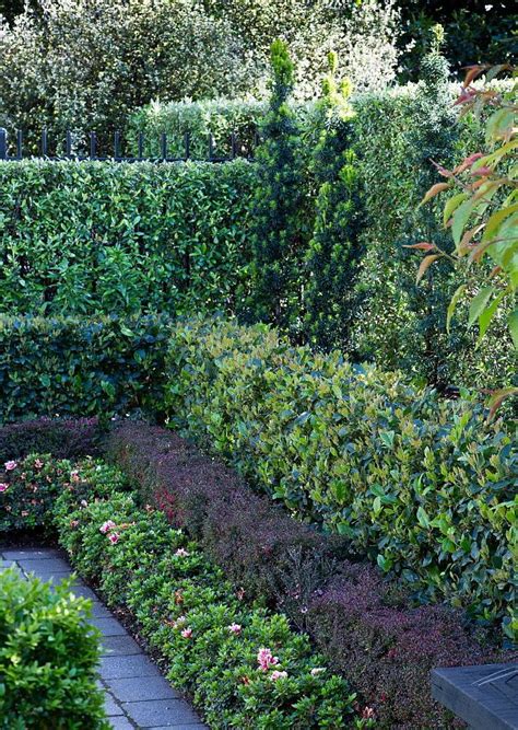 Layered hedges | HEDGE Garden Design & Nursery. Photo courtesy of Paul McCredie for NZ House ...