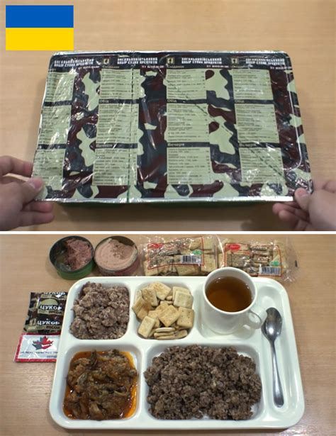 14 Military Food Rations From All Around The World | DeMilked