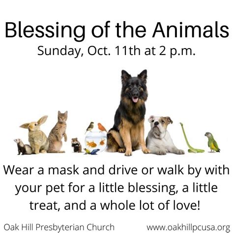 Blessing of the Animals | OAK HILL PRESBYTERIAN CHURCH