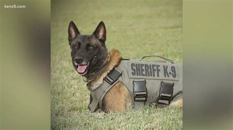 BCSO release new details in death of K-9 deputy - YouTube