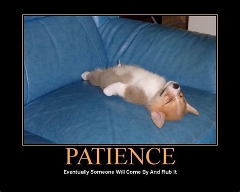 Life's A Beach: Patience Is A Virtue.....What???