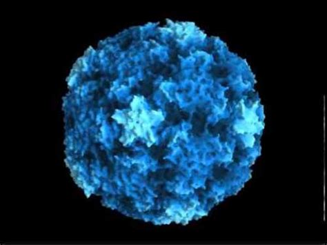 10 Facts about Rhinovirus | Facts of World