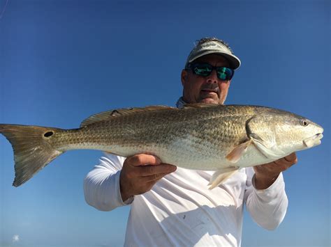 Jacksonville Inshore Fishing Report for the Week of 6/6/16 | Northeast Florida Angling