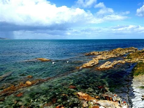 Brixham beaches. | Chrystine Jones Artist