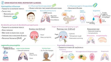 Immunology / Microbiology: Respiratory Illnesses - Gram-Negative Rods | ditki medical ...