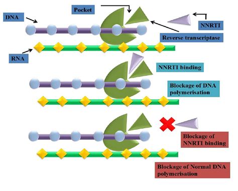 mechanism of action of NNRTI’s | Download Scientific Diagram