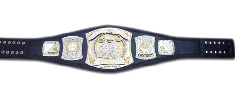 WWE WWF John Cena Spinner World Heavyweight Championship Title Belt ...