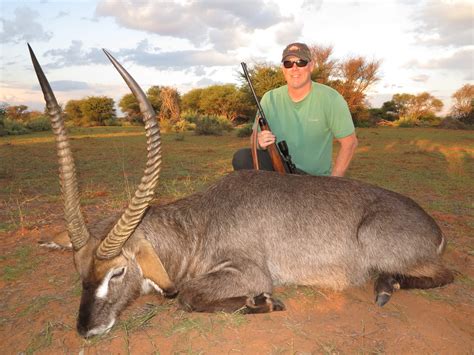 Waterbuck Hunting » Schalk Pienaar Hunting Safaris in Namibia