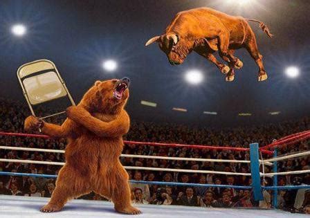 bear-fighting-bull – The Friendly Bear