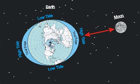 Animation Revealing the Moon's Orbit Around the Earth and Its Effects ...