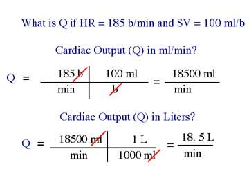 Sample cardiac output calculations