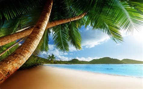 4D Beach Wallpapers - Top Free 4D Beach Backgrounds - WallpaperAccess