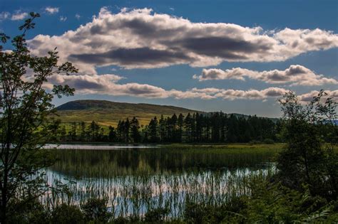 Galloway Forest Park : Scotland