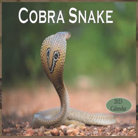 Cobra Snake 2023 Calendar: 16 month calendar 2023 to 2024 with high ...