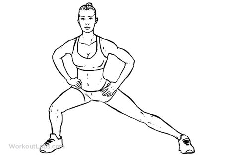 Standing Adductor / Adduction Stretch | WorkoutLabs