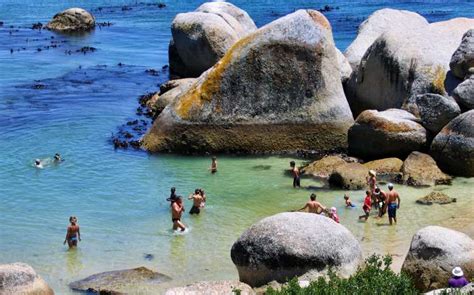 Boulders Beach / Western Cape / South Africa // World Beach Guide