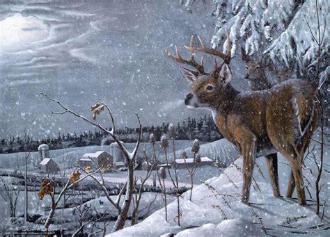 Deer in Snow Wallpapers - Top Free Deer in Snow Backgrounds - WallpaperAccess