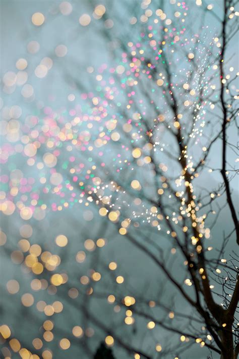 Winter Photography Holiday Fairy Lights in Trees, Festive Winter Scene ...