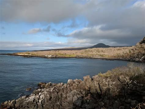 San Cristóbal Island: Discover its main attractions! – This Is Ecuador | San cristobal ...