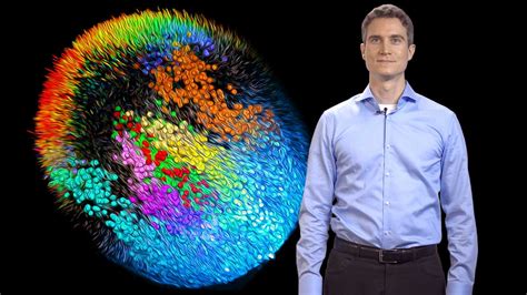 Single-Cell Imaging: Imaging and Reconstructing Mouse Development at the Single-Cell Level ...