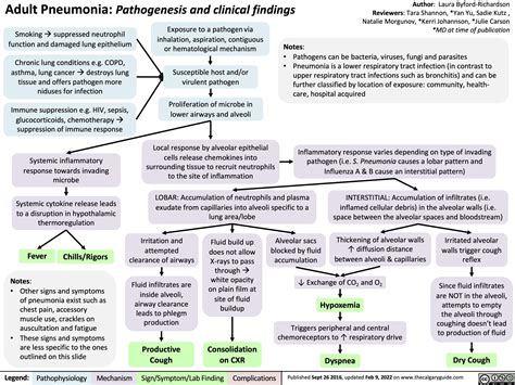 Patofisiologi Pneumonia Cap