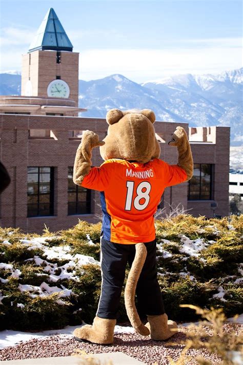 University of Colorado Colorado Springs mascot poses in Manning jersey : r/DenverBroncos