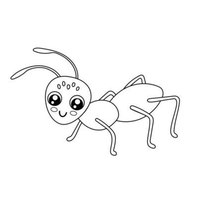 Ant Outline Vector Art, Icons, and Graphics for Free Download