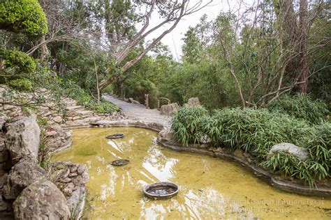 Zilker Botanical Garden in Austin, Texas | Nutty Hiker Adventures