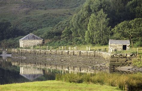 Coed Hafod-talog, Gwynedd - area information, map, walks and more