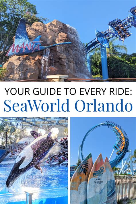 Your guide to all the rides at SeaWorld Orlando (2024) - Family Gap ...