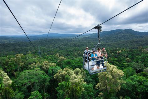 Skyrail Rainforest Cableway - Cairns - Tourism Town - Find & book authentic experiences in Cairns