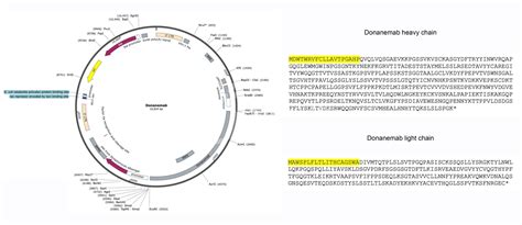 Donanemab Biosimilar Antibody - BiCell Scientific®