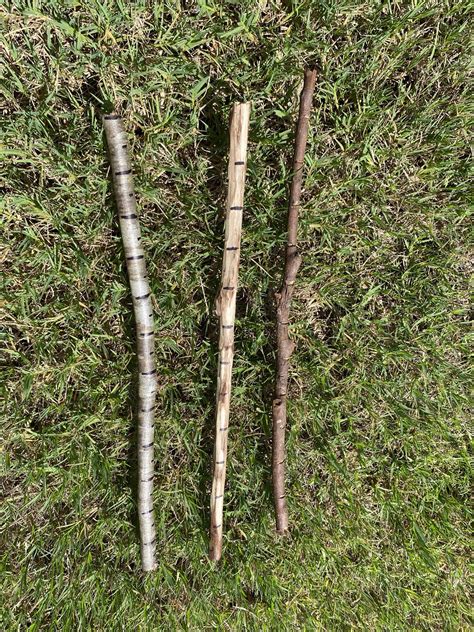 Nature-based Stick Rulers — Learning withOutdoors