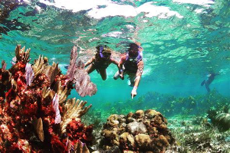 Snorkeling; Cancun Mexico | Cancun mexico, Cancun, Best snorkeling