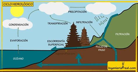 Producto 1 Diagrama de sol. Jenifer 5B - Mind Map