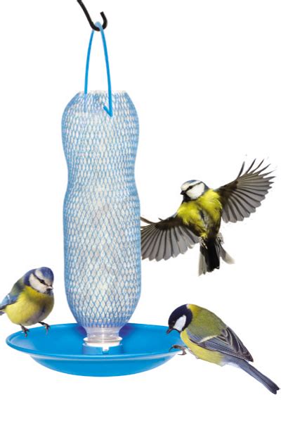 How to help birds with water? - The Great Outdoors Stack Exchange